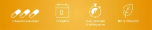 Instructions for use for Capsules d'huile de cumin noir égyptien 500 mg, 180 pc - 2