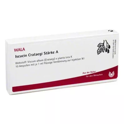 ISCUCIN ampoules de crataegi Amidon A, 10X1 ml