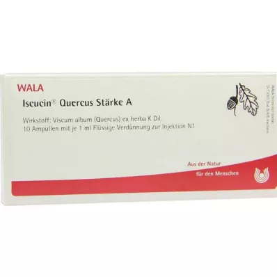 ISCUCIN quercus Amidon A ampoules, 10X1 ml