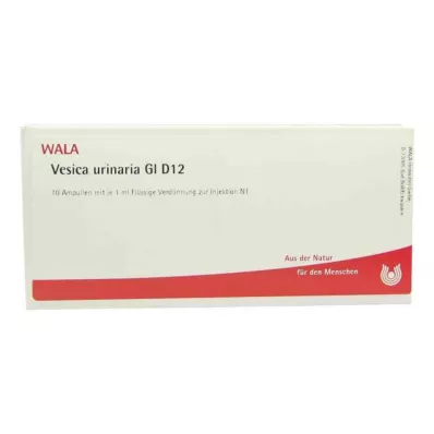 Ampoules Vesica Urinaria Gl D12 (10x1 ml)