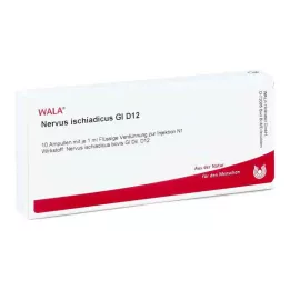 NERVUS ISCHIADICUS GL D 12 ampoules, 10X1 ml