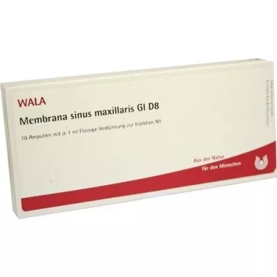 MEMBRANA sinus maxillaire GL ampoules D 8, 10X1 ml