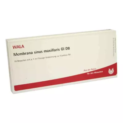 Ampoules Membrane sinus maxillaire Gl D8 (10x1 ml) Ampoules Membrane sinus maxillaire Gl D8 (10x1 ml)