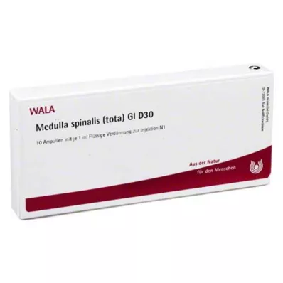 Medulla Spinalis Tota GL D 30 ampoules, 10X1 ml Medulla Spinalis Tota GL D 30 ampoules, 10X1 ml