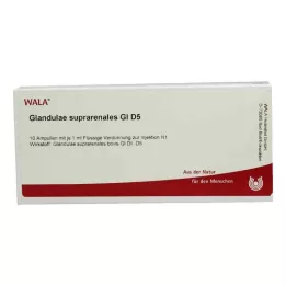 GLANDULAE SUPRARENALES GL D 5 ampoules, 10X1 ml