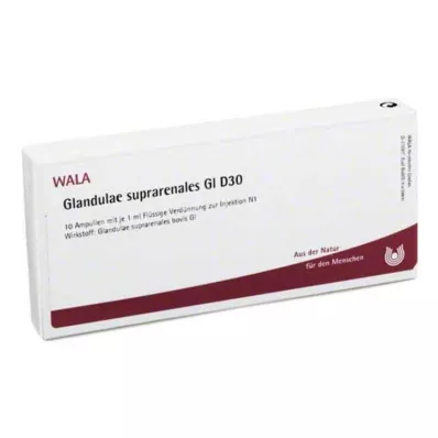 GLANDULAE SUPRARENALES GL D 30 ampoules, 10X1 ml GLANDULAE SUPRARENALES GL D 30 ampoules, 10X1 ml