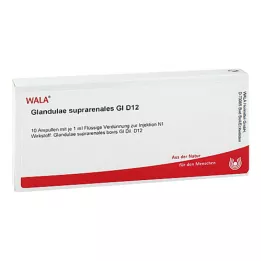 GLANDULAE SUPRARENALES GL D 12 ampoules, 10X1 ml