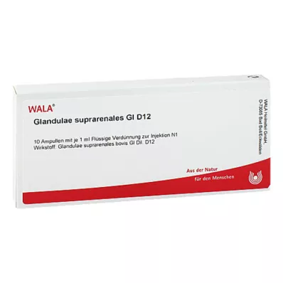 Glandulae suprarenalis GL D 12 ampoules, 10X1 ml