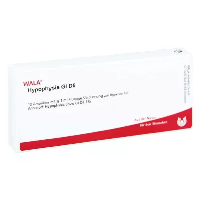 HYPOPHYSIS GL D 5 ampoules, 10X1 ml HYPOPHYSIS GL D 5 ampoules, 10X1 ml