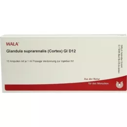 GLANDULA SUPRARENALES cortex GL D 12 ampoules, 10X1 ml