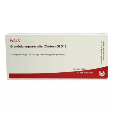 Glande surrénale.Cort.Ampoules Gl D12 (10x1 ml) Glande surrénale.Cort.Ampoules Gl D12 (10x1 ml)