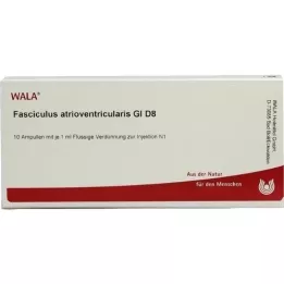 FASCICULUS atrioventricularis GL D 8 ampoules, 10X1 ml