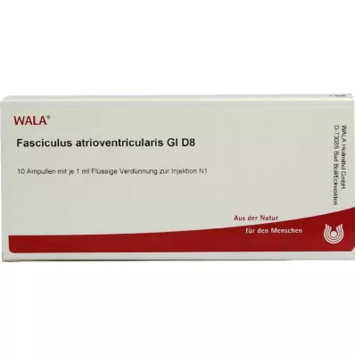 FASCICULUS atrioventricularis GL D 8 ampoules, 10X1 ml FASCICULUS atrioventricularis GL D 8 ampoules, 10X1 ml