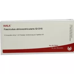 FASCICULUS atrioventricularis GL D 15 ampoules, 10X1 ml