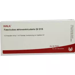 FASCICULUS atrioventricularis GL D 15 ampoules, 10X1 ml