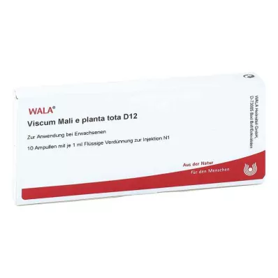 VISCUM MALI e planta tota D 12 ampoules, 10X1 ml