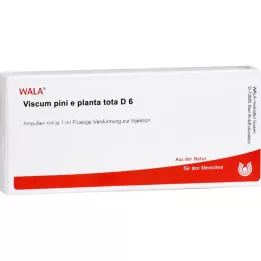 VISCUM PINI e planta tota D 6 ampoules, 10X1 ml