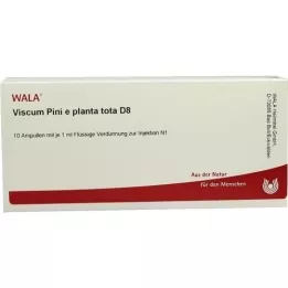 VISCUM PINI e planta tota D 8 ampoules, 10X1 ml