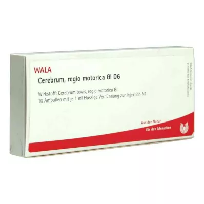 Ampoules Cerebrum Regio Motor Gl D6 (10x1 ml)