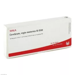 CEREBRUM REGIO motorica GL D 30 ampoules, 10X1 ml