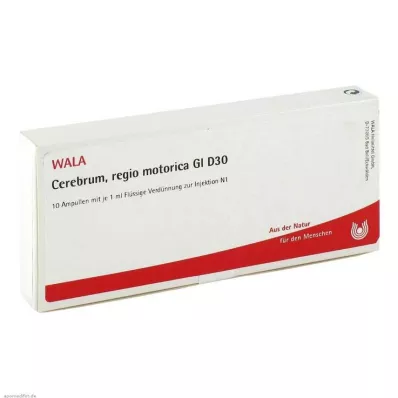 Cerebrum Regio Motor GL D 30 ampoules, 10X1 ml