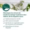 SIDROGA Infusion de fenouil, danis et de cumin, sachets filtres, 20X2.0 g