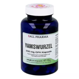 YAMSWURZEL 500 mg GPH Gélules, 120 pièces