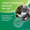 Baume Soledum, 50 ml
