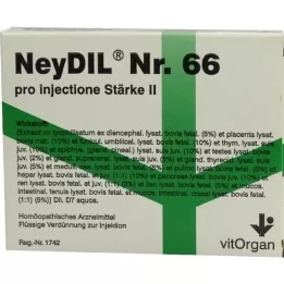 NEYDIL Nr.66 pro injectione St.2 ampoules, 5X2 ml