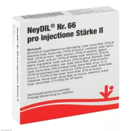 NEYDIL Nr.66 pro injectione St.2 ampoules, 5X2 ml