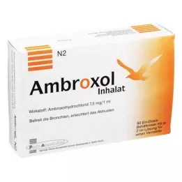 AMBROXOL Solution dinhalation pour nébuliseur, 50X2 ml