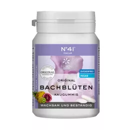 KONZENTRATION Gomme à mâcher selon le Dr Bach, 40 gommes