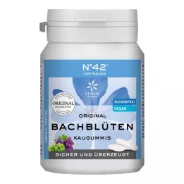 SELBSTVERTRAUEN Gomme à mâcher selon le Dr Bach, 40 gommes