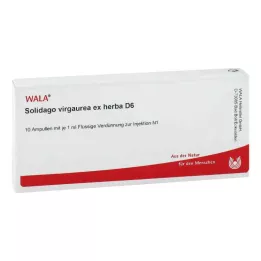 SOLIDAGO VIRGAUREA ex herba D 6 ampoules, 10X1 ml