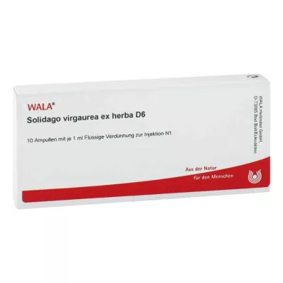 Solidago Virgaurea ex herba D6 ampoules (10x1 ml)
