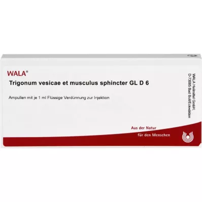 TRIGONUM Vesicae et Musculus sphincter GL D 6 Amp, 10X1 ml