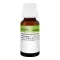 REVET H 5 Globuli pour animaux de compagnie, 10 g