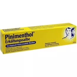 PINIMENTHOL Pommade contre les refroidissements Eucal./Pin./Menth., 100 g