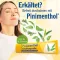 PINIMENTHOL Pommade contre les refroidissements Eucal./Pin./Menth., 100 g