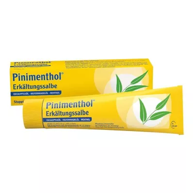 PINIMENTHOL Pommade contre les refroidissements Eucal./Pin./Menth., 100 g