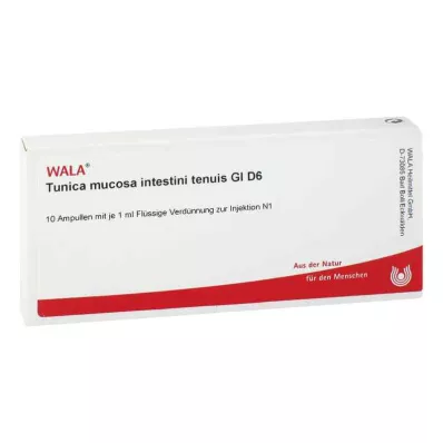 TUNICA mucosa intestini tenuis GL D 6 ampoules, 10X1 ml TUNICA mucosa intestini tenuis GL D 6 ampoules, 10X1 ml