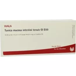 TUNICA mucosa intestini tenuis GL D 30 ampoules, 10X1 ml