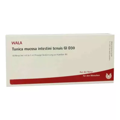 TUNICA mucosa intestini tenuis GL D 30 ampoules, 10X1 ml TUNICA mucosa intestini tenuis GL D 30 ampoules, 10X1 ml