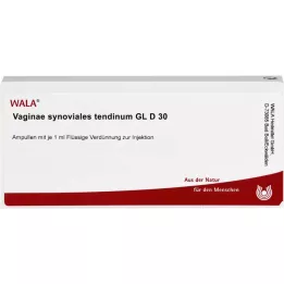 VAGINAE synoviales tendinum GL D 30 ampoules, 10X1 ml