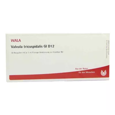 VALVULA tricuspidalis GL D 12 ampoules, 10X1 ml