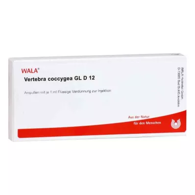 VERTEBRA coccygea GL ampoules D 12, 10X1 ml