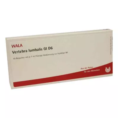 VERTEBRA lombaire GL D 6 ampoules, 10X1 ml