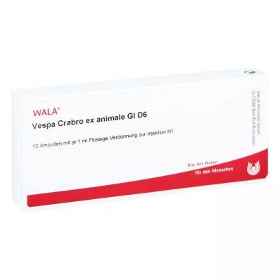 Ampoules Vespa Crabro Ex Animale Gl D6 (10x1 ml)