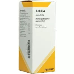 ATUSA Jus spag.Peka, 125 ml