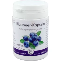 BLAUBEER Gélules, 60 pcs